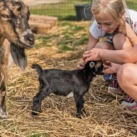 4 Bedroom Amazing In Nyaraló *