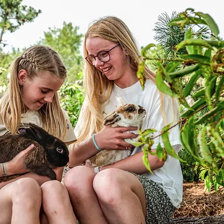 4 Bedroom Amazing In Nørre Nebel