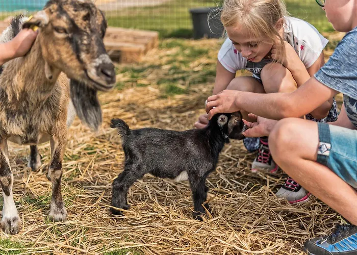 4 Bedroom Amazing In Nyaraló *