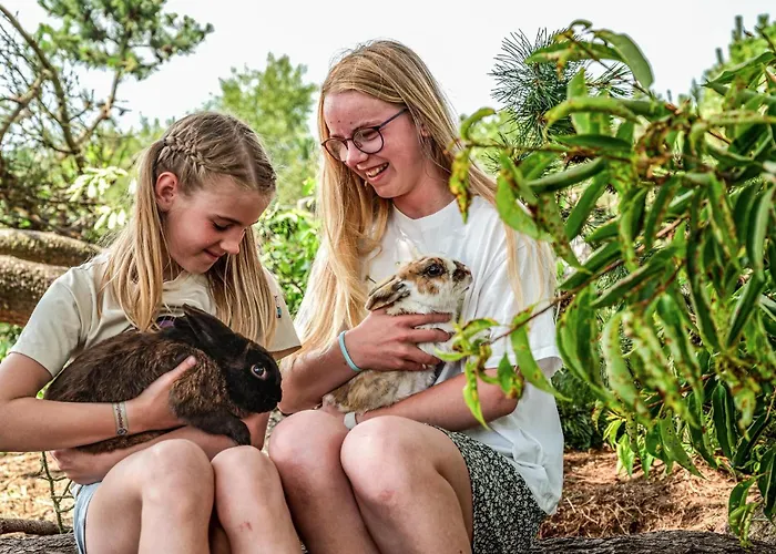 4 Bedroom Amazing In Nørre Nebel